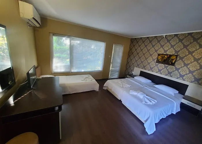 комплекс хиподрума *